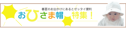 ���Ҥ���˹�ý�