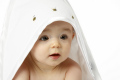 �٥�٥åȥ�����
